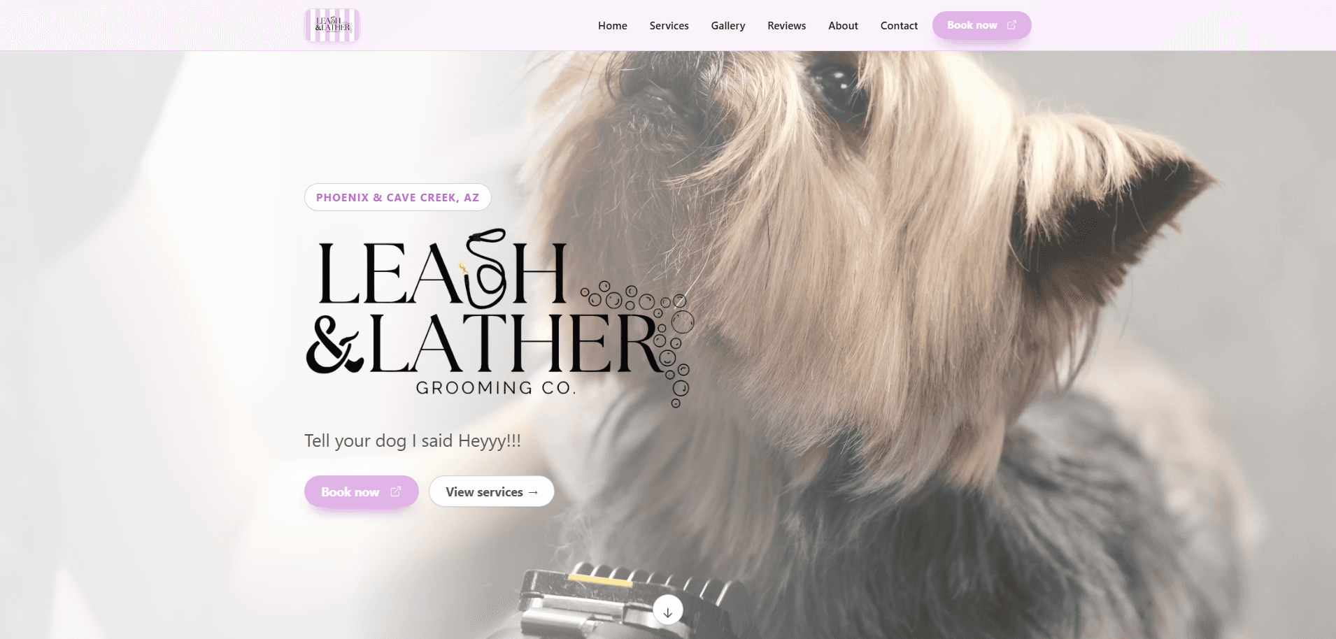 Homepage of Leash & Lather Grooming Co.: a pale pink navigation bar reading Home, Services, Gallery, Reviews, About, and Contact beside a 'Book now' pill, above a hero filled by a close-up photograph of a small long-coated terrier mid-groom, clippers at its chest, carrying a 'Phoenix & Cave Creek, AZ' pill, a serif wordmark, the line 'Tell your dog I said Heyyy!!!', and 'Book now' and 'View services' actions.